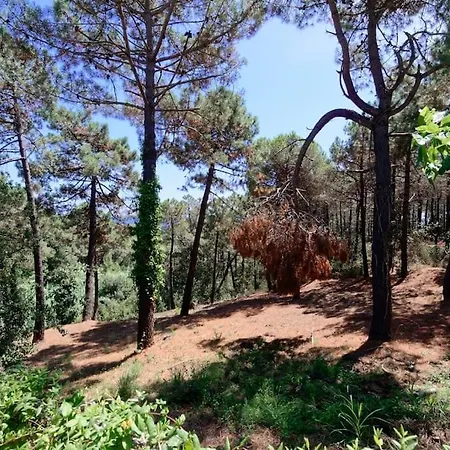 Cl11 Townhouse With Sea Views Holiday home *