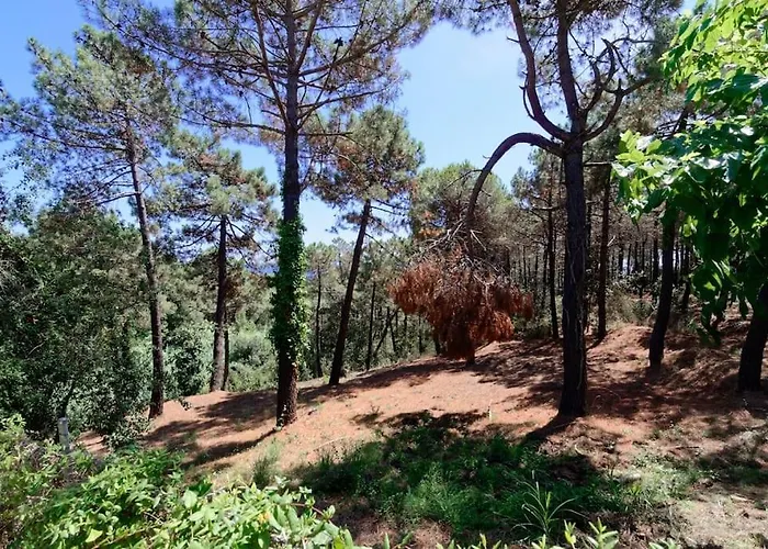 Cl11 Townhouse With Sea Views Дом отдыха *